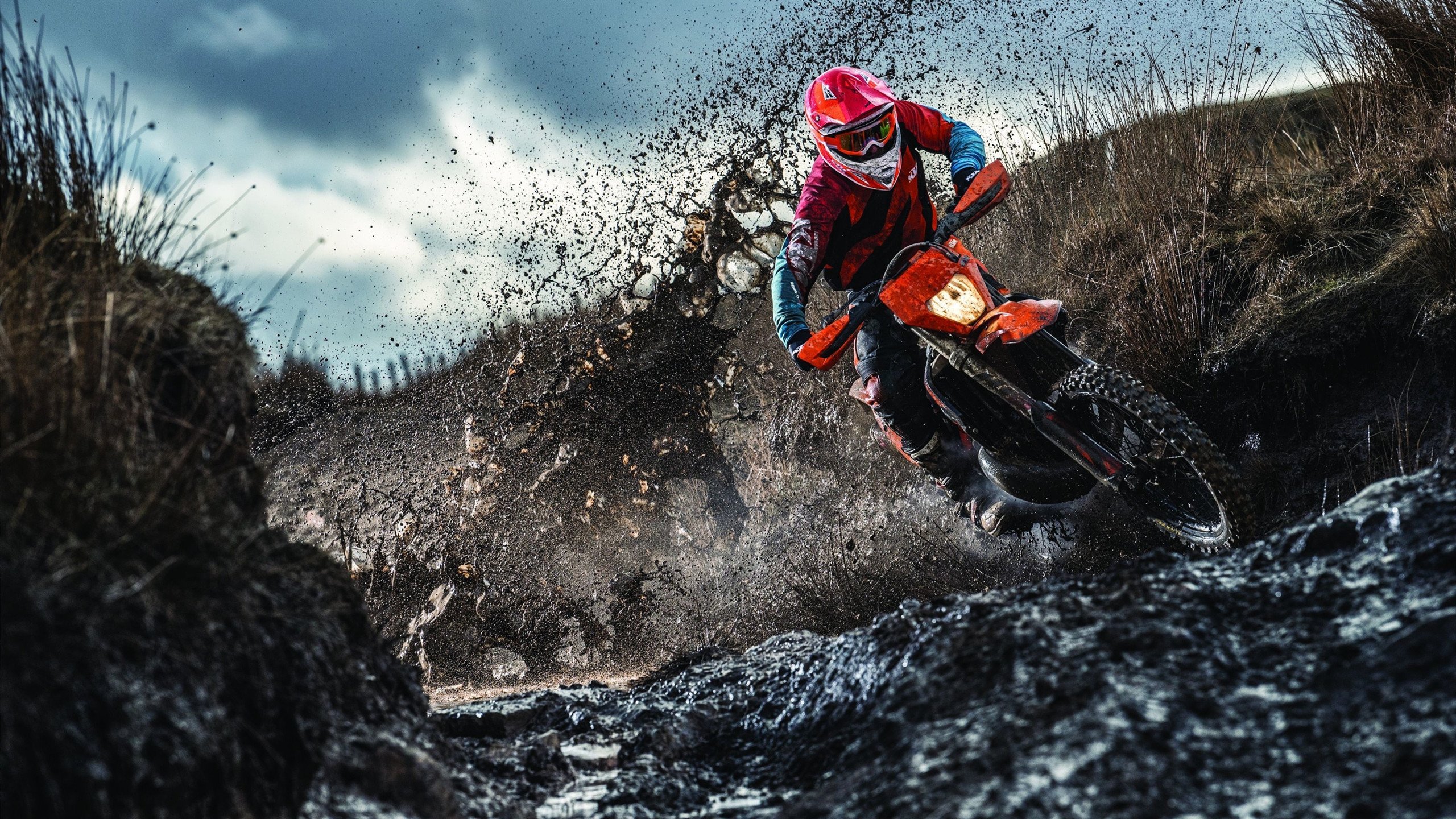 家庭健康体测+趣味赛 一站式完成体测与小比赛